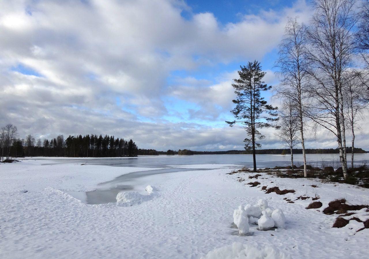 Tiiringolf Cottages Nilsiä Esterno foto